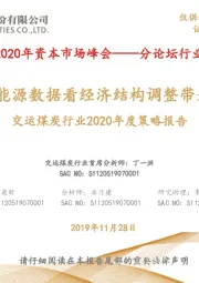 交运煤炭行业2020年度策略报告:从运输/能源数据看经济结构调整带来的机会