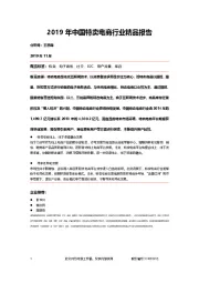 2019年中国特卖电商行业精品报告