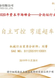 2020年资本市场峰会——分论坛行业策略报告：自主可控 弯道超车