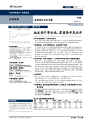 医药商业行业专题：批发苦尽等甘来，零售坚守见云开