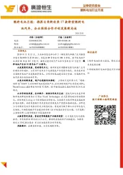 燃料电池月报:推荐目录新收录17款新型燃料电池汽车,企业强强合作开创发展新局面