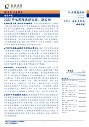 海外科技行业深度分析：2020年电商行业拼生态，拼后劲