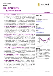 电子行业2020年投资策略：涅槃：国产替代进行时