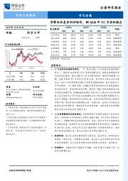 有色金属行业月度报告：消费电池复苏利好钴价，铜2020年TC长协价敲定