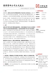 石化行业动态点评：国家管网公司正式成立