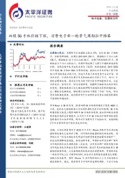 电子设备、仪器和元件行业周报：双模5G手机价格下探，消费电子新一轮景气周期拉开帷幕