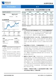 电子行业月度报告：局部热点持续，关注底部周期行业回暖