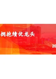 2020年旅游行业策略报告：行业潜力依旧，拥抱绩优龙头