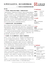 计算机行业年度投资策略回顾与展望：5G带来行业应用开启，需求与政策周期共振