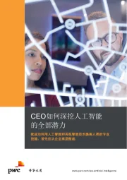 CEO如何深挖人工智能的全部潜力