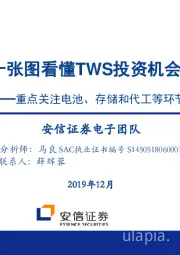 重点关注电池、存储和代工等环节:十张图看懂TWS投资机会