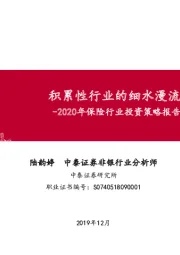 2020年保险行业投资策略报告：积累性行业的细水漫流