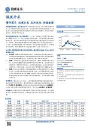 煤炭开采行业策略：繁华落尽 返璞归真 龙头优先 价值重塑