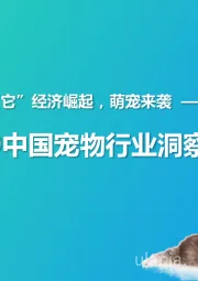 2019中国宠物行业洞察报告：“它”经济崛起，萌宠来袭