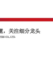 计算机行业2020年年度策略：掘金优质赛道，关注细分龙头