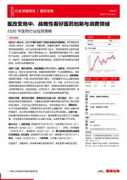 2020年医药行业投资策略：医改变局中，战略性看好医药创新与消费领域