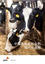 中国乳制品行业的现代化进程