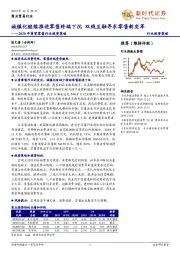 2020年商贸零售行业投资策略：城镇化继续推进零售终端下沉 双线互融寻求零售新变革