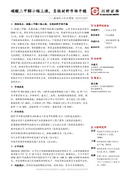 基础化工行业周报：碳酸二甲酯小幅上涨，负极材料市场平稳