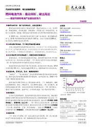 氢能与燃料电池产业前沿系列六：燃料电池汽车：集众所长，破土而出