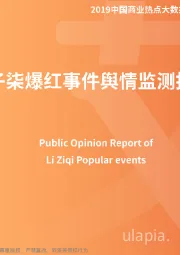 传媒行业2019中国商业热点大数据监测研究系列课题：李子柒爆红事件舆情监测报告