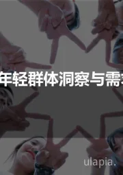 2019汽车年轻群体洞察与需求分析