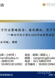 电子行业策略报告:春风拂面,花开百枝