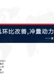 全球电动车解构与前瞻12月：装机环比改善，冲量动力稍弱