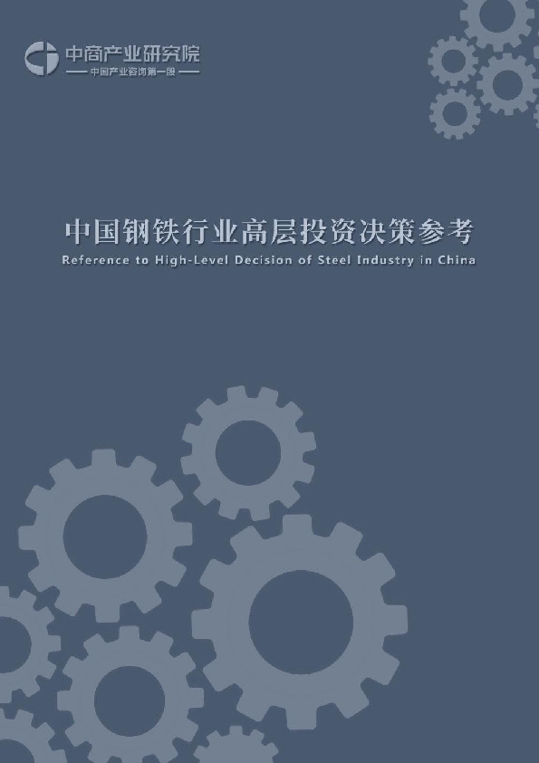 中国钢铁行业高层投资决策参考