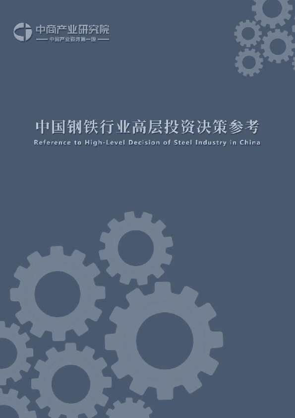 中国钢铁行业高层投资决策参考