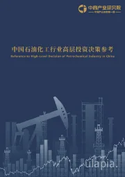 中国石油化工行业高层投资决策参考