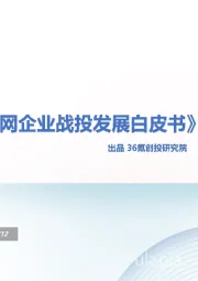 2019年《中国互联网战投发展白皮书》