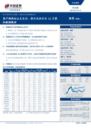 电气设备行业周报：国产特斯拉正式交付，国内光伏行业12月装机数据靓丽