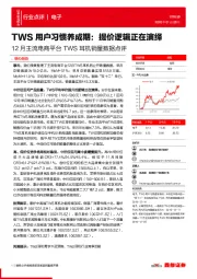 12月主流电商平台TWS耳机销量数据点评：TWS用户习惯养成期：提价逻辑正在演绎