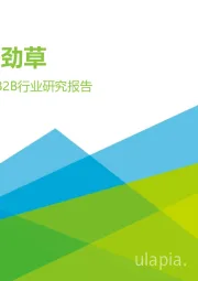 2020年中国快消品B2B行业研究报告：疾风知劲草