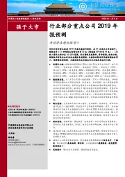 计算机：行业部分重点公司2019年报预测：布局潜在超预期窗口