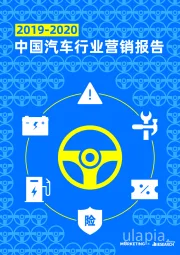 2019-2020中国汽车行业营销报告
