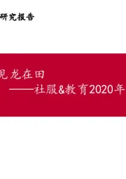 社服&教育2020年投资策略：见龙在田