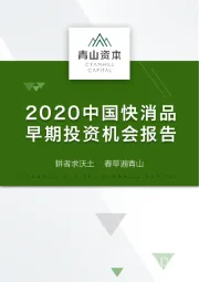 2020中国快消品早期投资机会报告