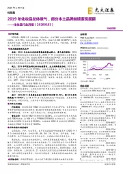 化妆品行业月报:2019年化妆品总体景气,部分本土品牌继续表现靓丽