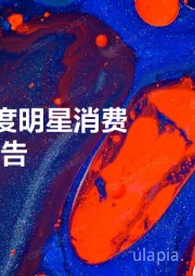 消费行业：2019年度明星消费影响力报告