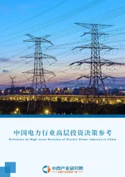 中国电力行业高层投资决策参考