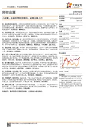 稀有金属行业研究周报:小金属:补贴政策即将落地,钴锂企稳上行