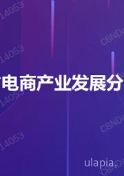 广东省电商产业发展分析报告