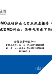 CRO&CDMO投研体系之行业深度报告（系列一）：国内CRO&CDMO行业：高景气背景下的追赶与跨越