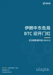 区块链行业数据月报：伊朗中东危局，BTC迎开门红