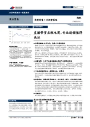 商贸零售1月投资策略：直播带货点燃电商，专业连锁值得关注