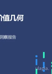 下沉市场人群洞察报告：下沉市场 价值几何