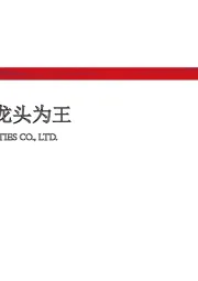 非银金融：转型提质，龙头为王
