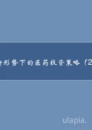 医药行业：政策新形势下的医药投资策略（2020）